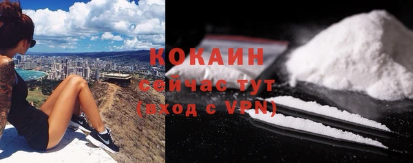 прущие грибы Белоозёрский