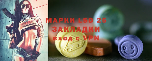 прущие грибы Белоозёрский
