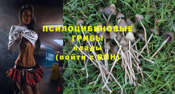 стафф Белокуриха