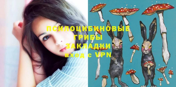 стафф Белокуриха