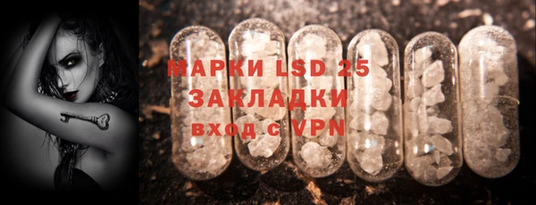 прущие грибы Белоозёрский